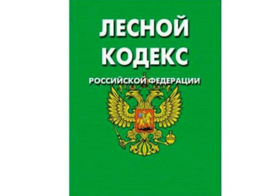 Внесены изменения в лесной кодекс РФ