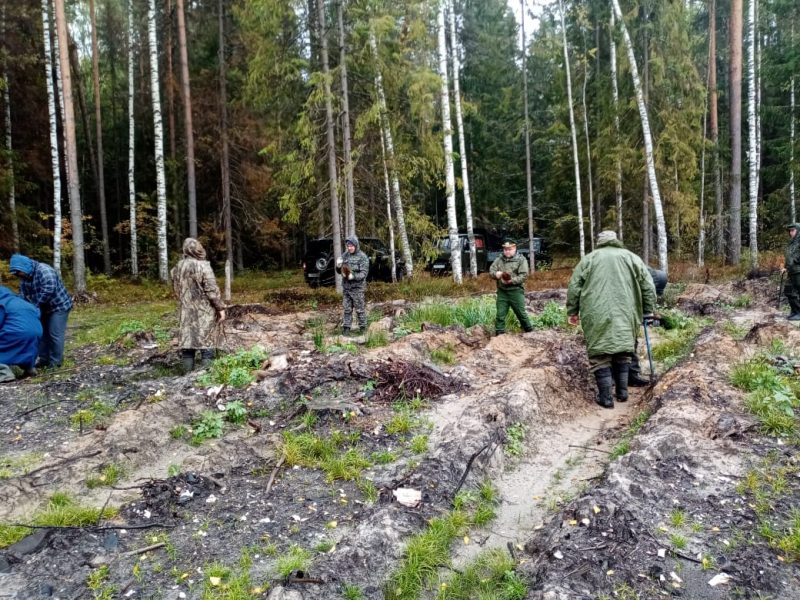 В Нижегородской области высадили 2,6 млн саженцев хвойных деревьев в рамках всероссийской акции «Сохраним лес»