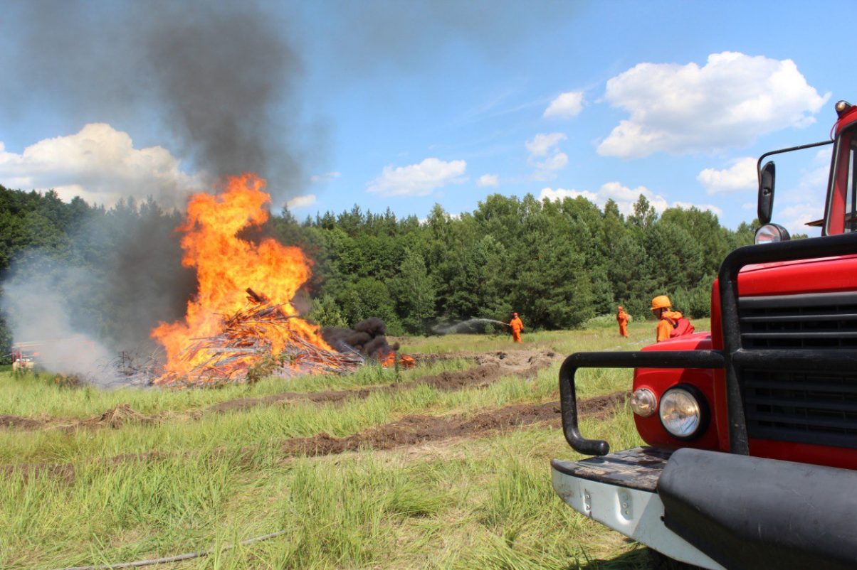 В лесах Нижегородской области сохраняется высокий класс пожарной опасности в период аномально жаркой погоды — Минлесхоз