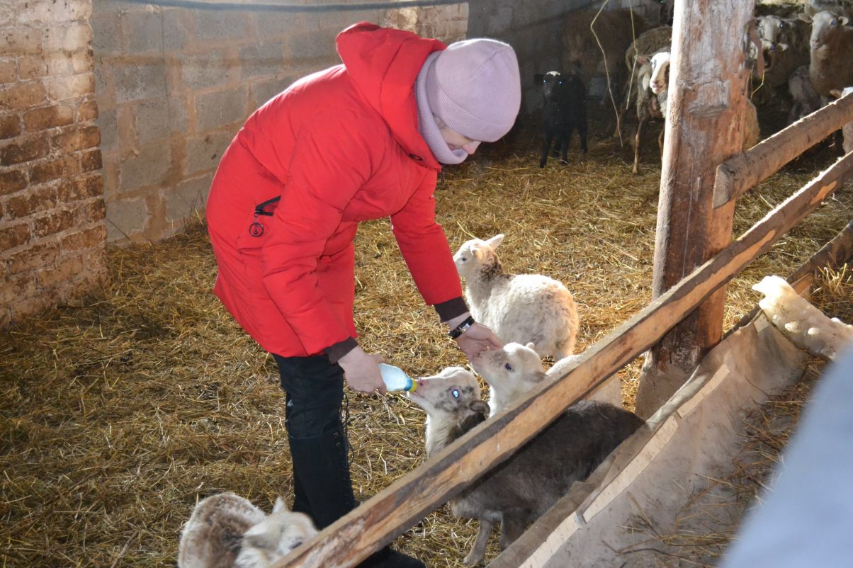 Поддержка фермерских хозяйств и сельхозкооперативов, открытие Года единства народов России, развитие беспилотных авиационных систем и другие итоги недели