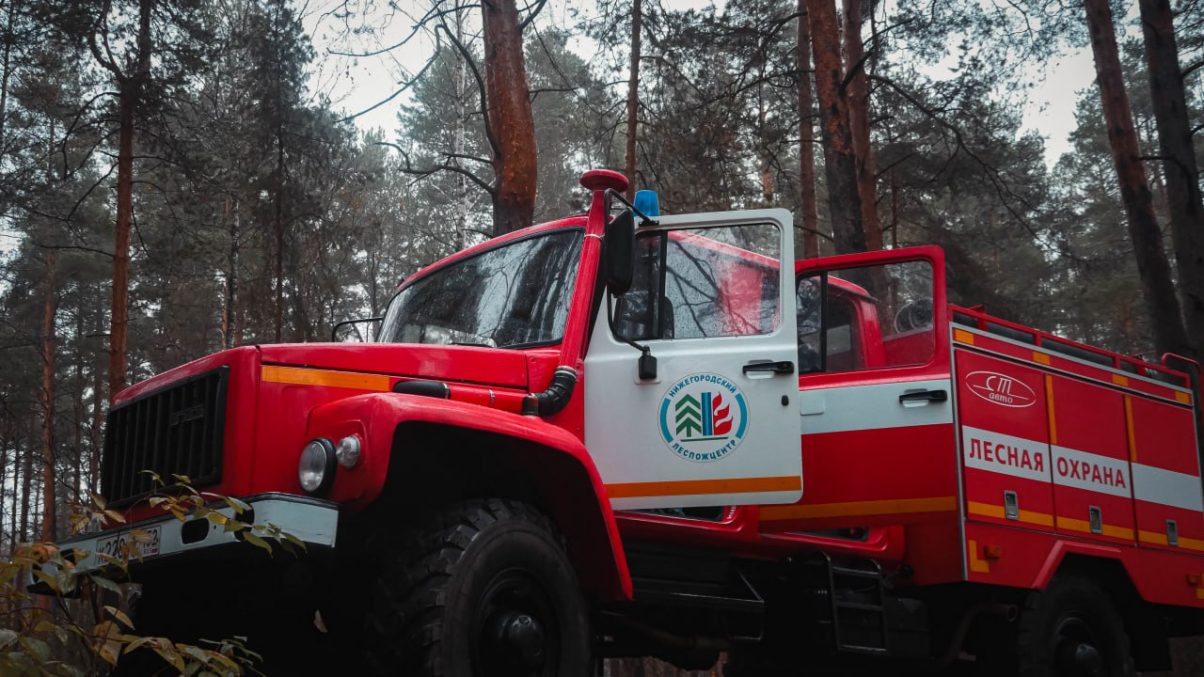 Нижегородская область по итогам проверки признана готовой к пожароопасному сезону