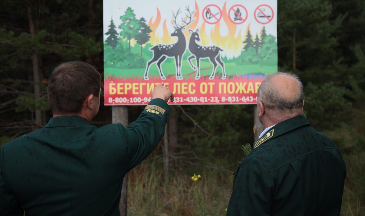 В лесах Нижегородской области с 24 апреля установлен пожароопасный сезон