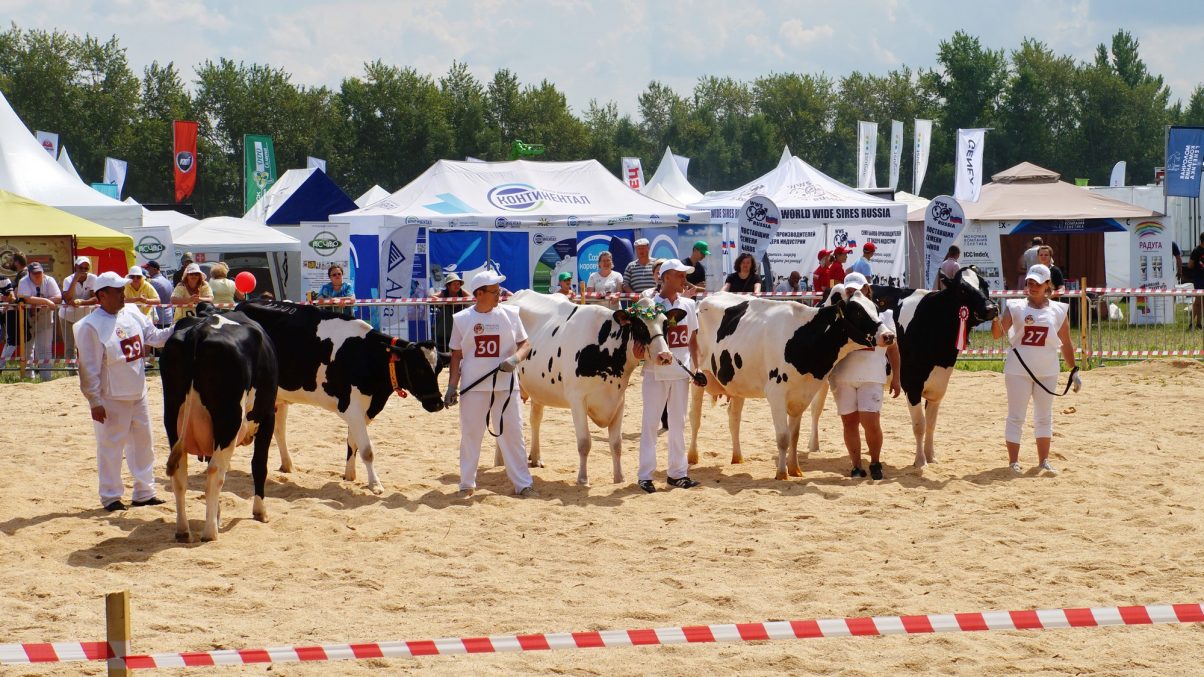 Агропромышленная выставка «День поля-2026» пройдет в Нижегородской области 26 июня